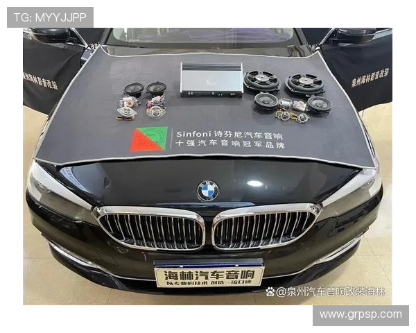 18款宝马525Li音响改装诗芬尼nature4.0喇叭 体验全新汽车音响效果
